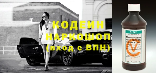 прущие грибы Вяземский