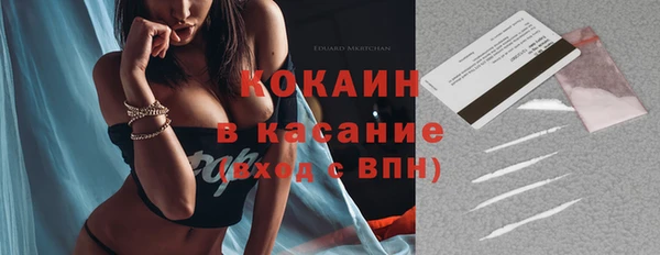 сатива Горно-Алтайск