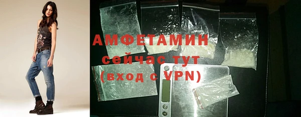 прущие грибы Вяземский