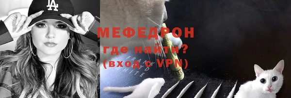 прущие грибы Вяземский