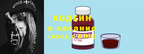 сатива Горно-Алтайск
