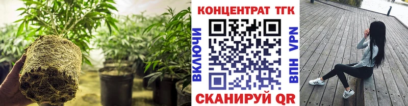 ТГК концентрат  купить   Юхнов 